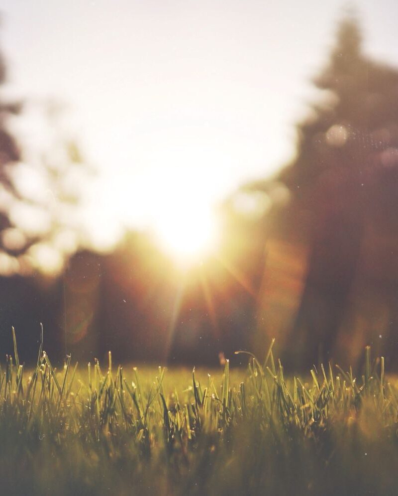 5 Benefits of Sunlight On Your Health